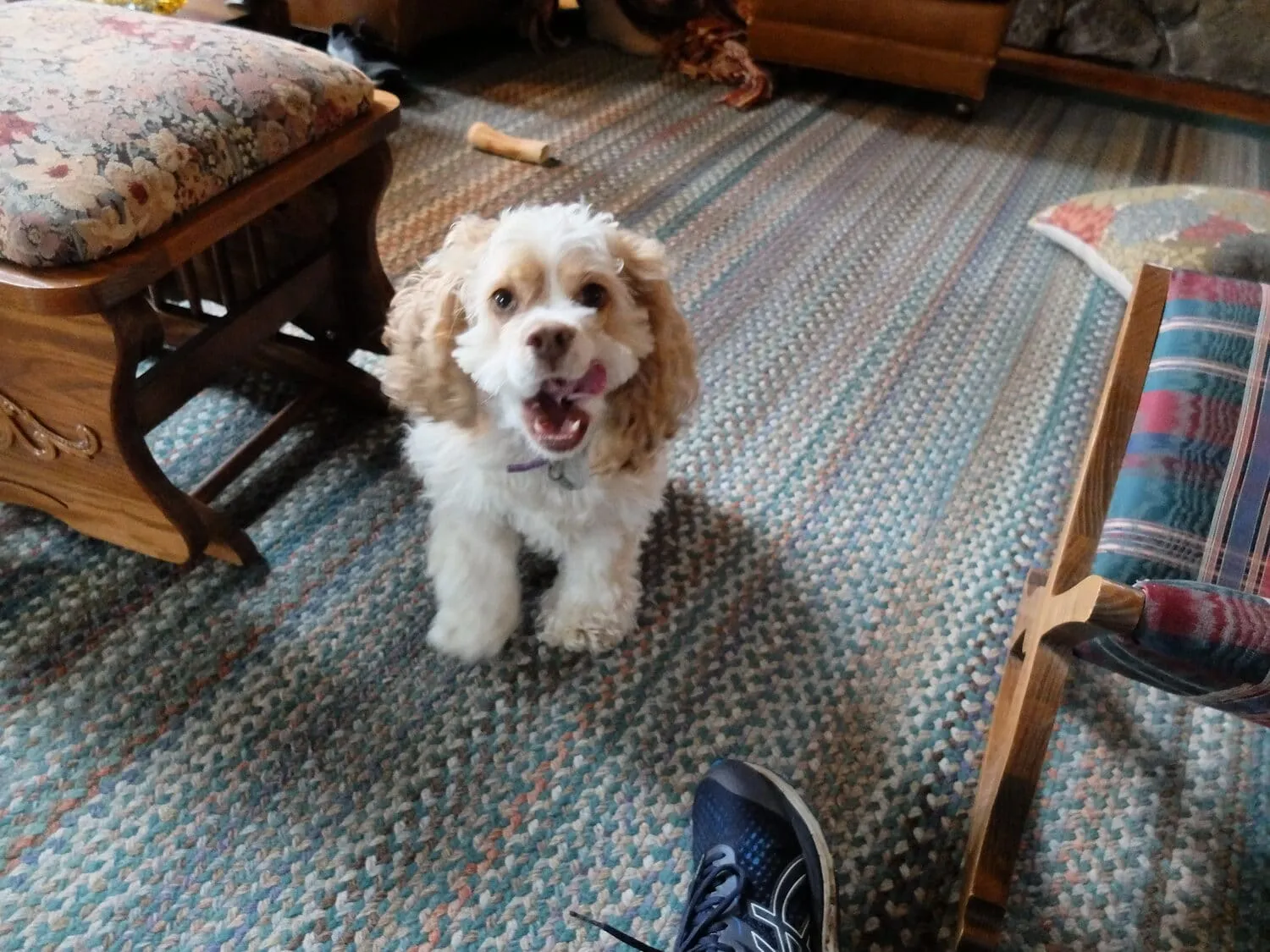 Create video slideshows with ImageMagick and FFmpeg in minutes