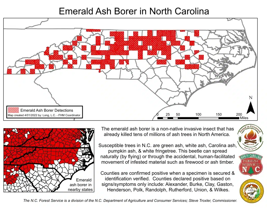 Tracking EAB
