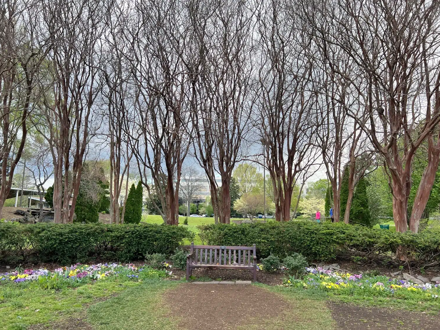 Taylor Swift's Bench: A bench for Taylor Swift ... where she's never sat