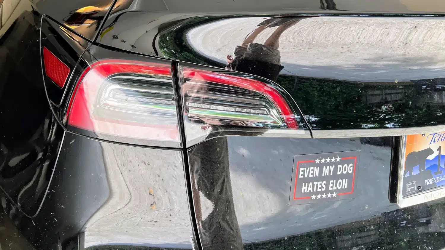 What I've seen in five years of owning a Tesla Model Y