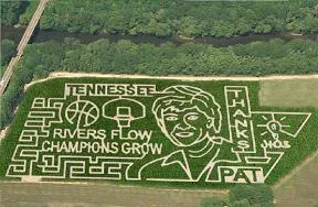 Summitt Corn Maze