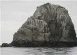 National Ocean Service, NOAA, photo of one of the Chiswell Islands in the Gulf of Alaska.