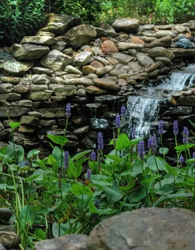 HDR image taken on July 4 2007 at Badin Lake, NC.