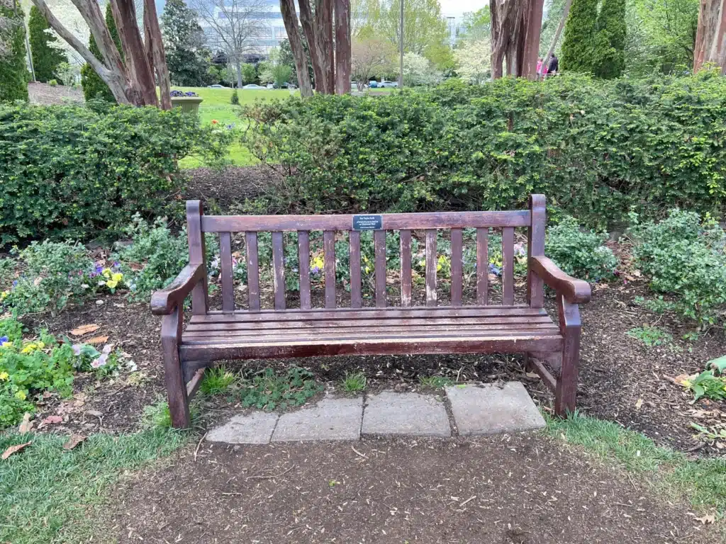 A bench for Taylor Swift